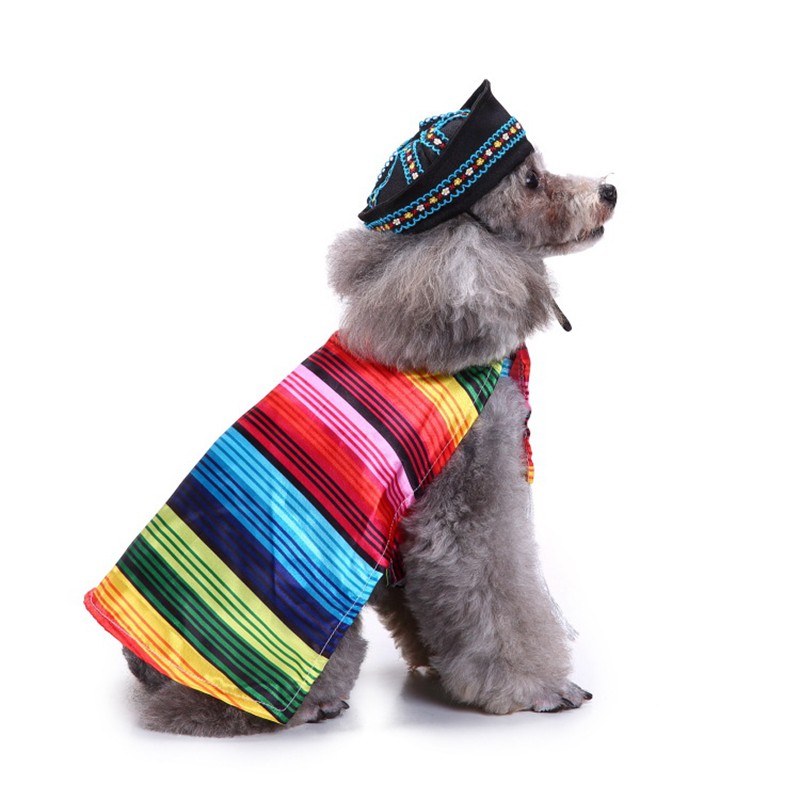 mexican dog dress