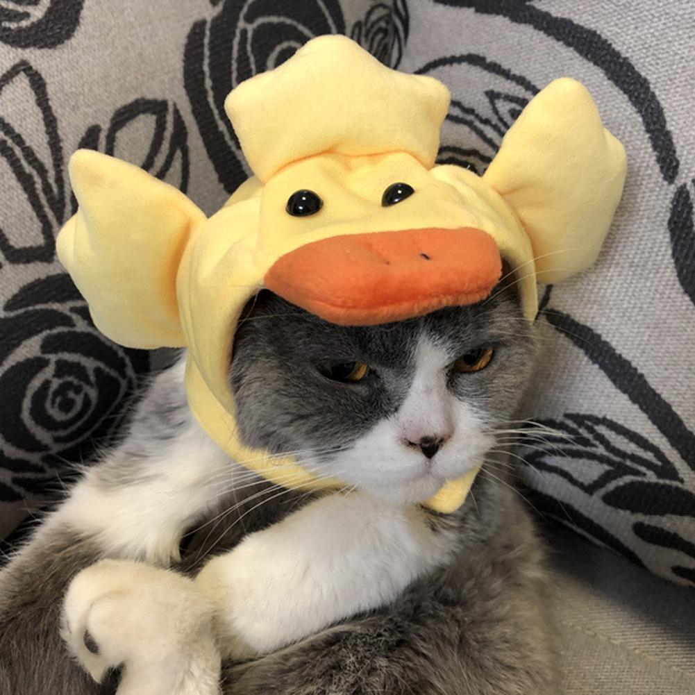 Cute Animal Duck Shape Pet Accessory Funny Cosplay Decoration Hat Cap For Pet Cat Shopee Malaysia - a cute cat is wearing a duck hat roblox