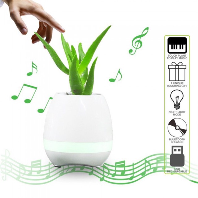 wireless musical plant pot