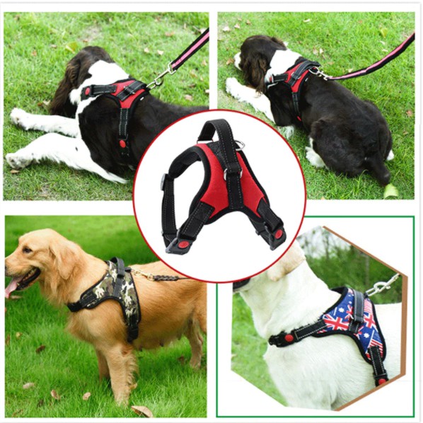 Buy dog harness Online With Best Price, Jan 2023 Shopee Malaysia