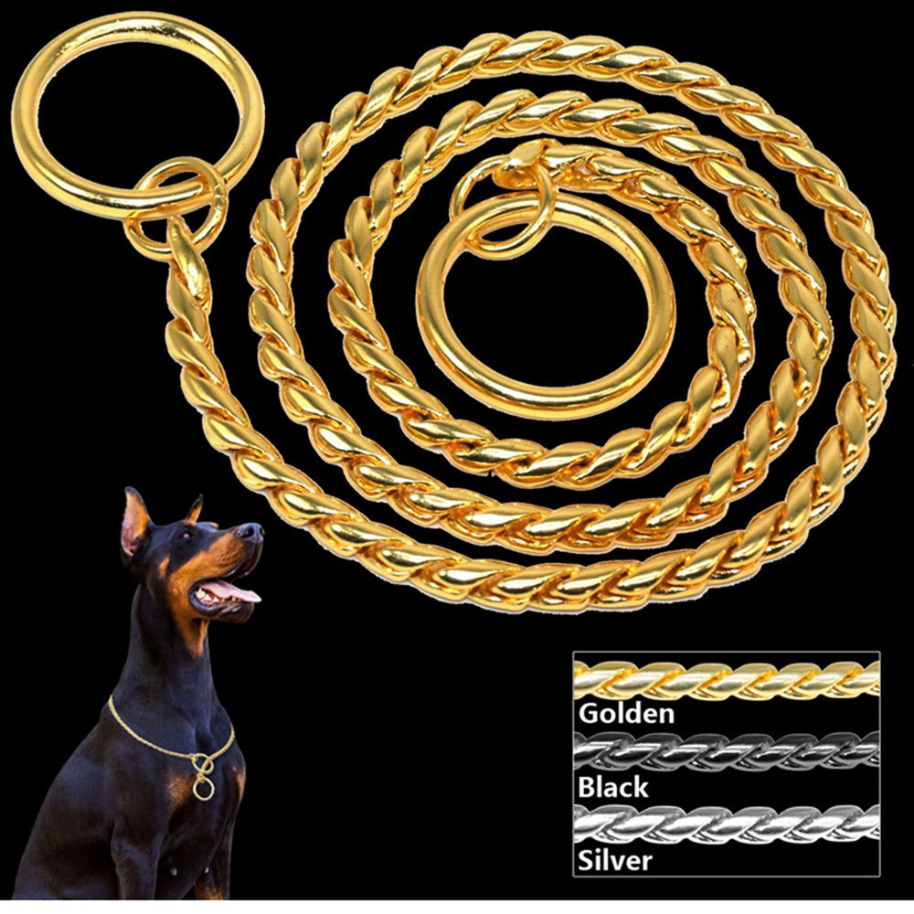 gold choke chain dog collar