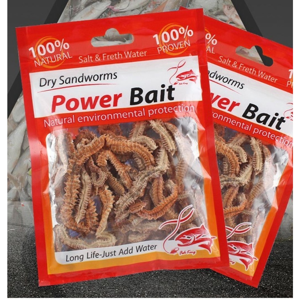 10g/Dry Sandworms/Prawn killer Bait Saltwater Fishing/umpunumpun kering Shopee Malaysia
