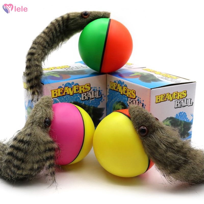 moving ball dog toy
