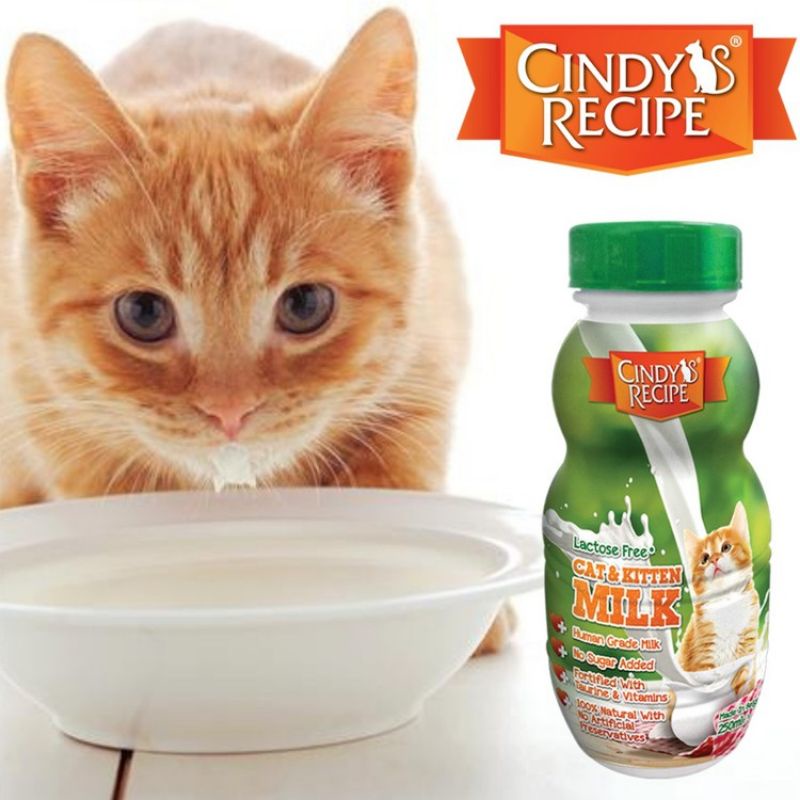 CINDY Recipe Cat & Kitten Milk / Susu Kucing (250ml) NEW STOCK!! / Anak