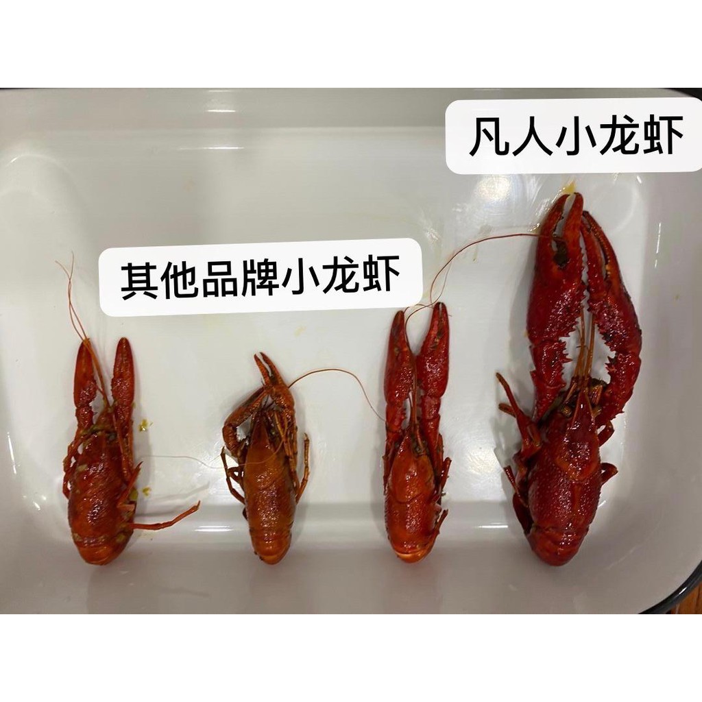 凡人小龙虾 两盒包邮 特大号虾 大马小龙虾第一品牌 送专属保温袋 明星 网红推荐 Shopee Malaysia