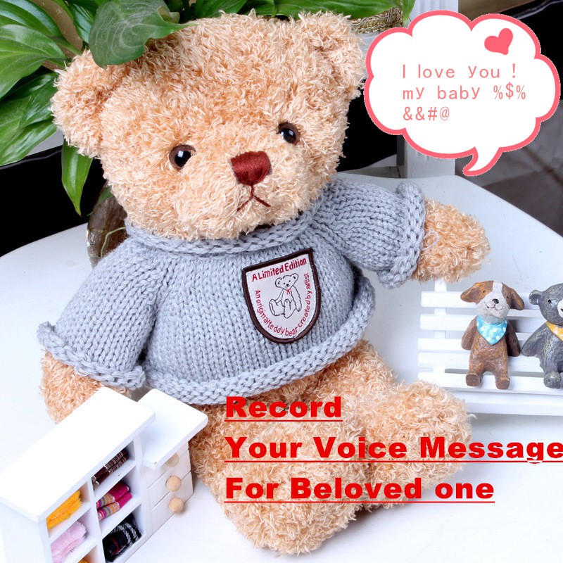 teddy bear with voice message