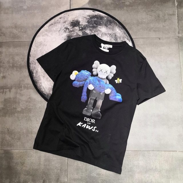 kaws and dior