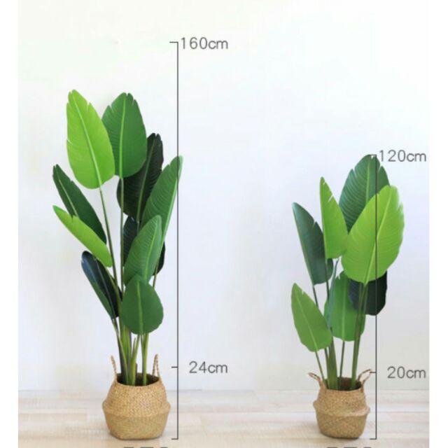 24+ Artificial Banana Leaf Plant