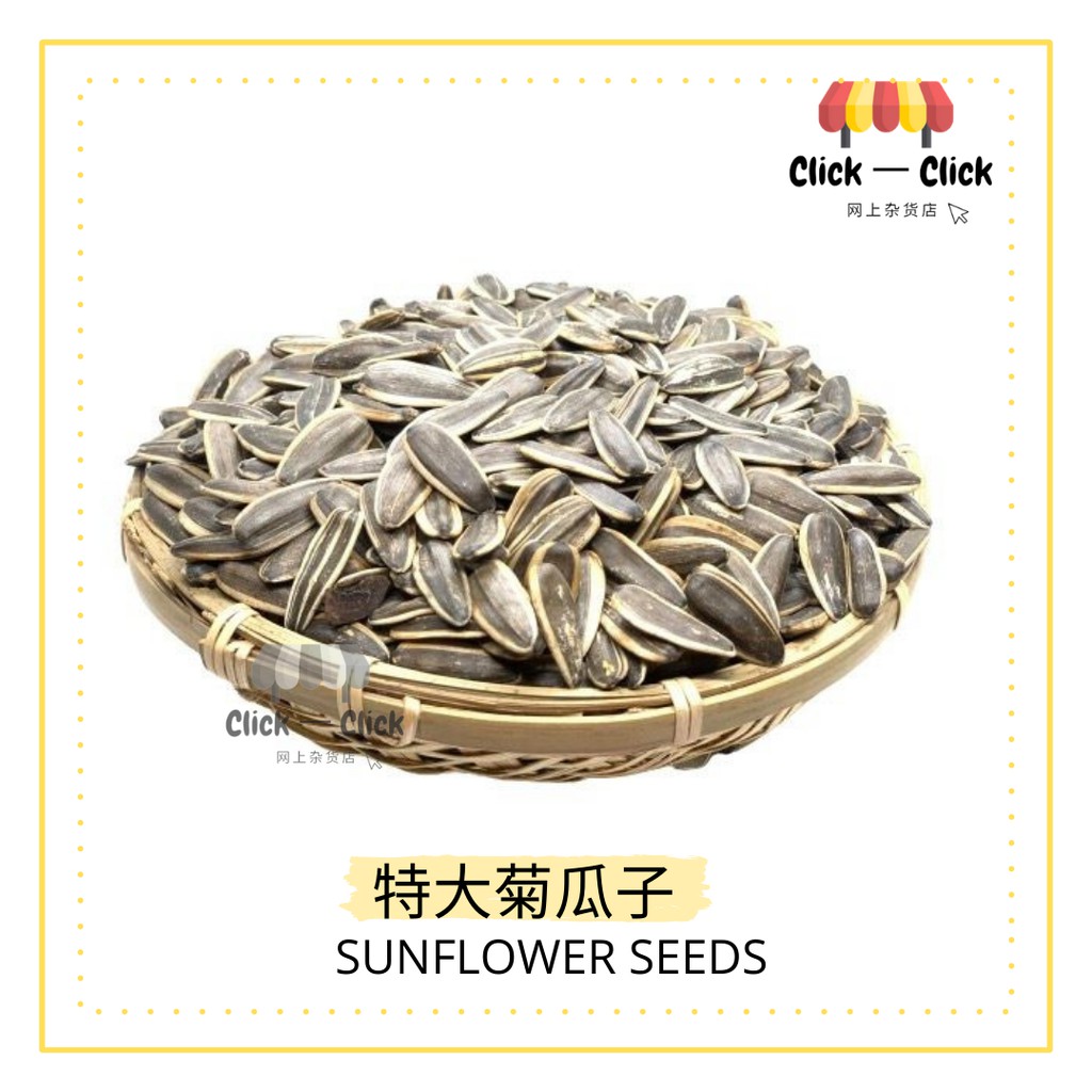 特大葵花籽 花瓜子 瓜子sunflower Seeds Kuaci Bunga