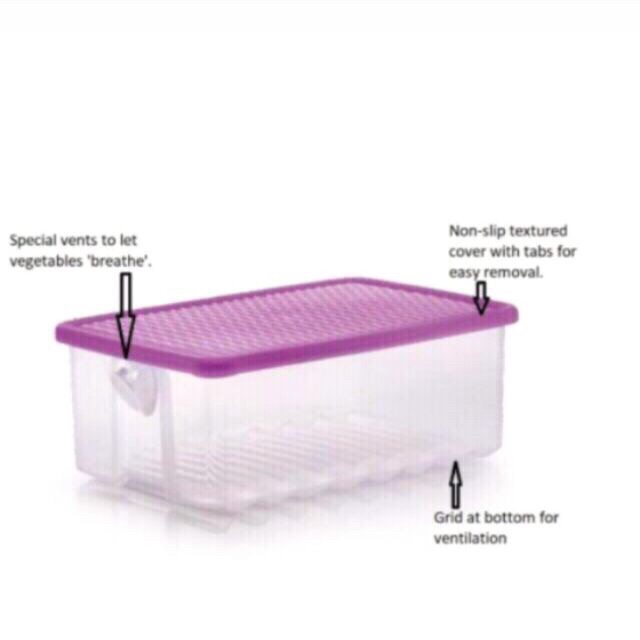 Tupperware fridge smart medium 1.6L (1) Shopee Malaysia