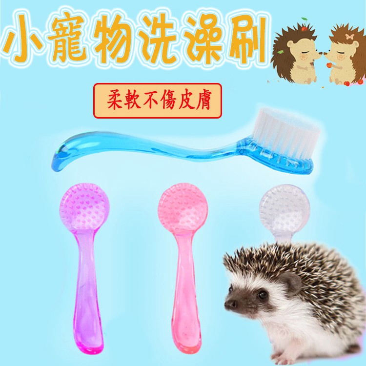 Ready Stock Special Soft Bath Brush For Hedgehog Shopee Malaysia