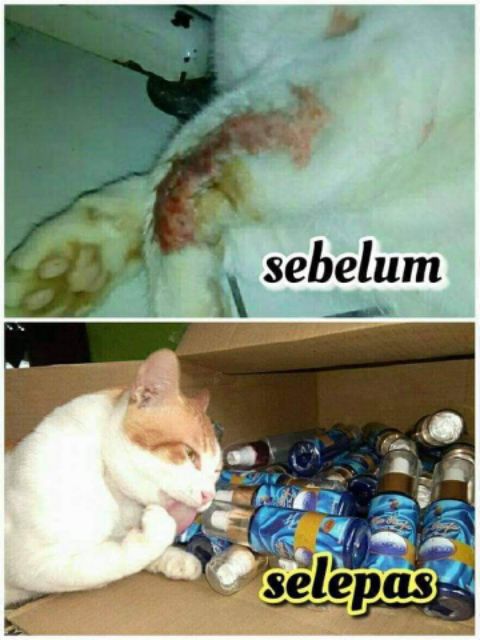 Bio Reefa -Penawar Kucing  Shopee Malaysia