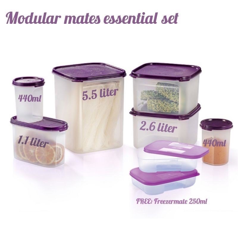 Tupperware Modular Mate Essential set