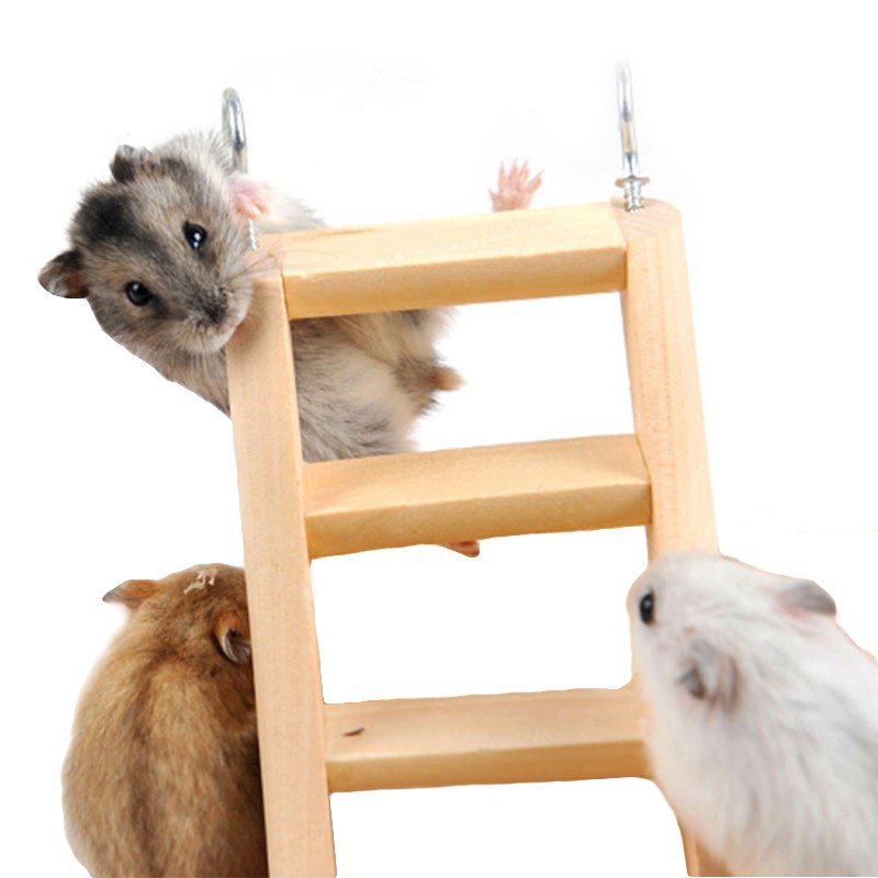 Liuliu Wooden Ladder For Small Animal Hamster Stairs Guinea Pig Playing Toy Sugar Glider Training Toys Diy Cage Accessories Shopee Malaysia