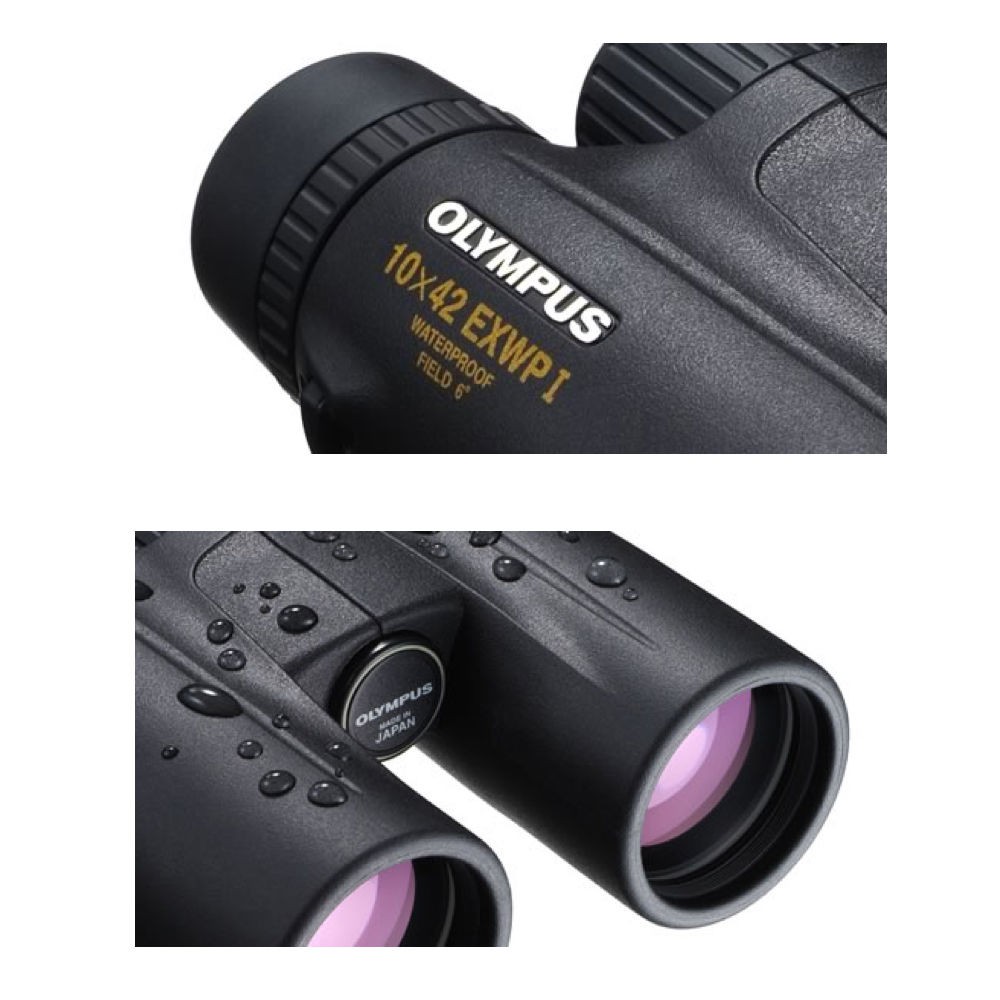 10 Best Binoculars for Bird Watching and Outdoors in India (2021) | Shubz