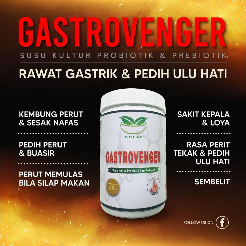 Gastrovenger perisai perut