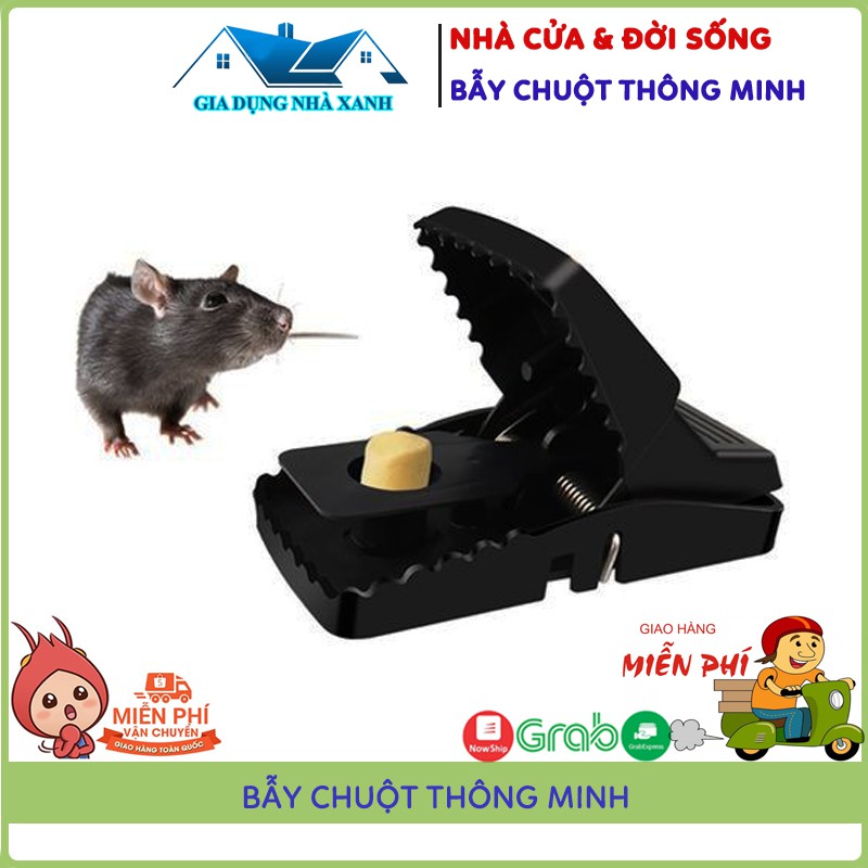 Mouse Catcher, Smart Mouse Trap Machine Automatic No Chemical, Compact ...