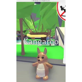 Adopt Me Legendary Kangaroo Fly Ride(FR) | Shopee Malaysia