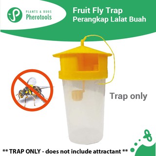 Pherotools Oriental Fruit Fly Trap Perangkap Feromon LALAT BUAH ...