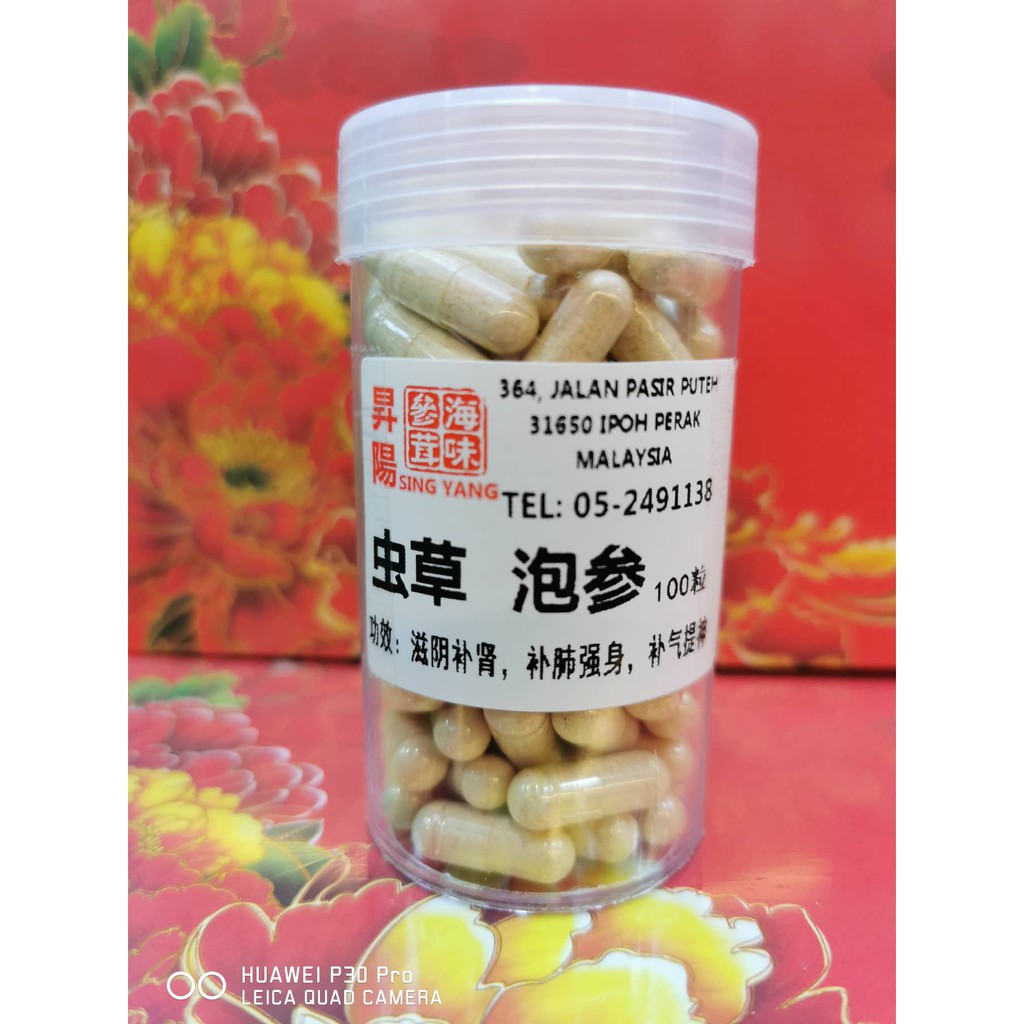 虫草泡参丸cordyceps American Ginseng Capsules 100pcs