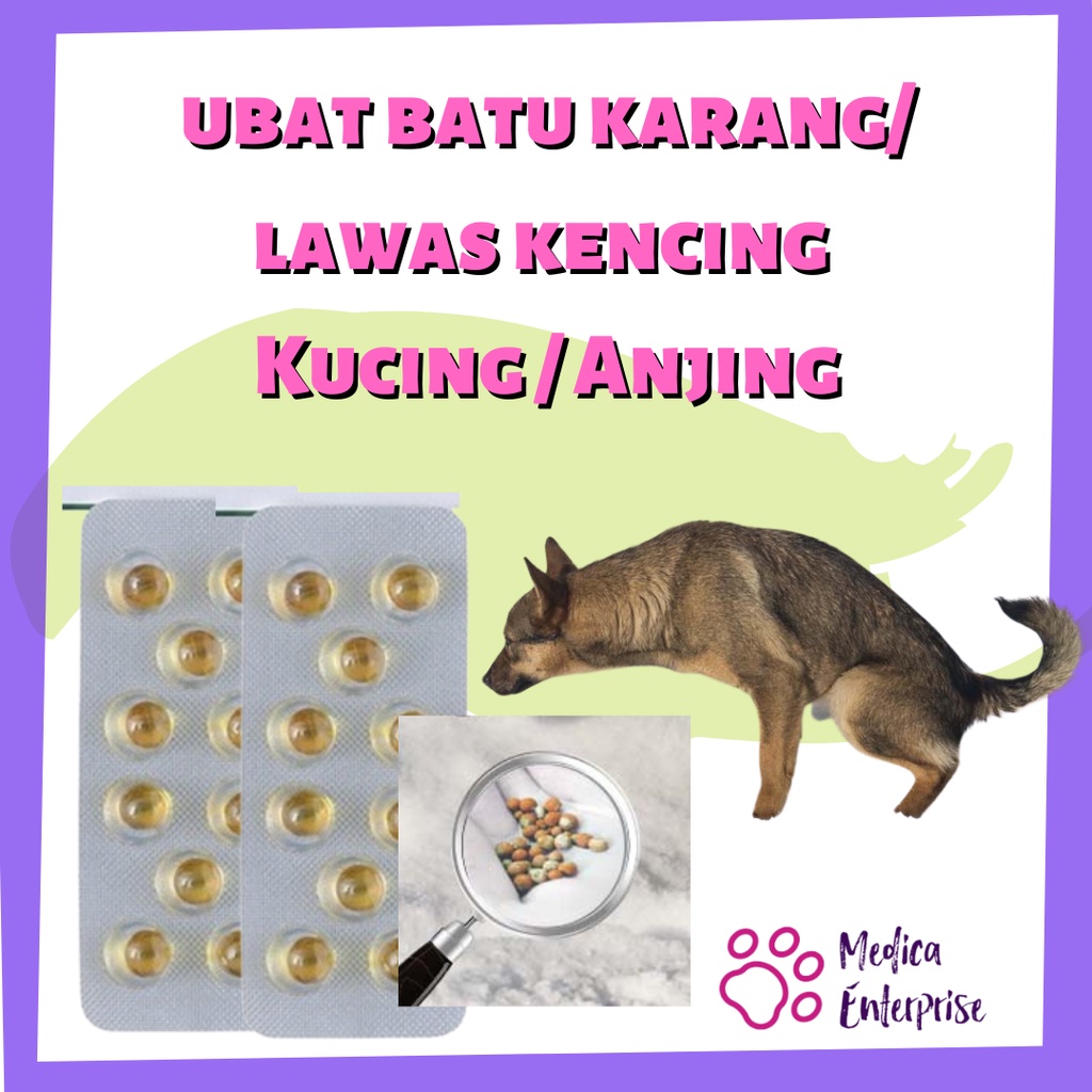 Ubat Batu Karang Kencing Tak Lawas Kucing Haiwan Peliharaan 1 Biji 5 Biji 10 Biji Shopee Malaysia