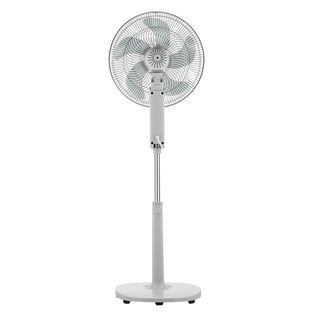 Toshiba Stand Fan (16