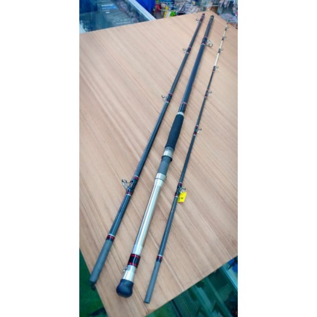 electric fishing pole