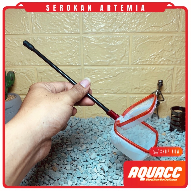 Artemia Double Head Bamboo Scoop Exclusive Shell Separator And Multipurpose 2in1 Artemia Seser Container Or Strainer