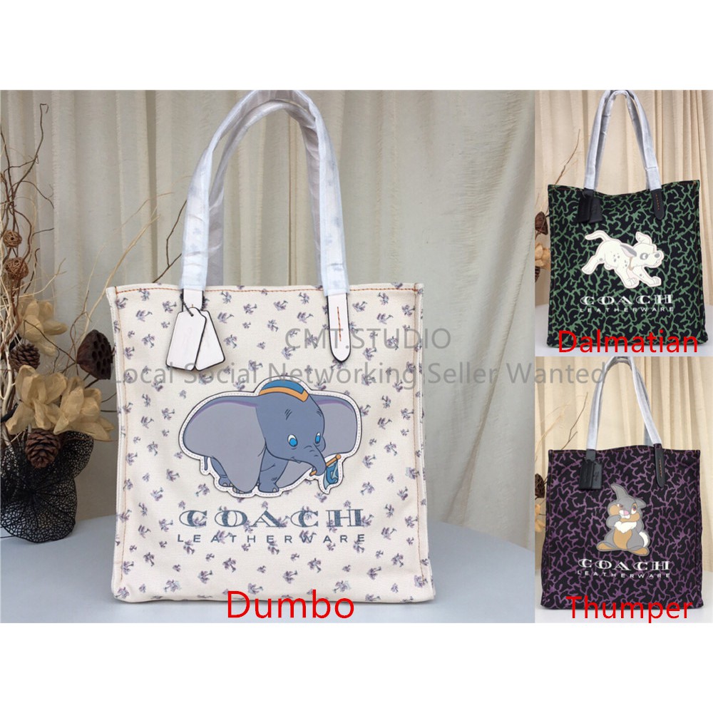 disney canvas bag