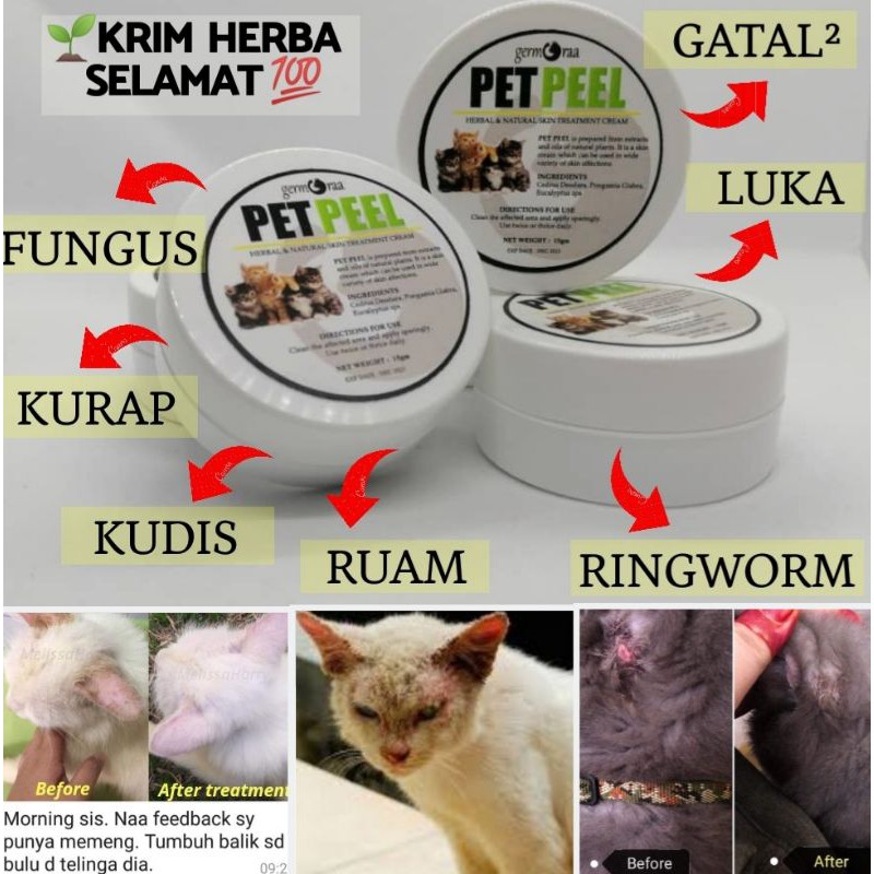 Ubat Kurap Anti Fungus Bacteria Ringworm Luka Sporo Bisul Gatal 