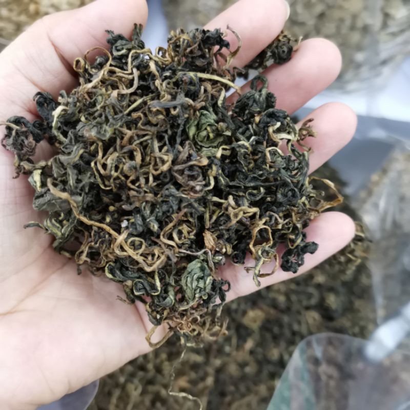 长白山蒲公英茶100g另售黄山贡菊绞股蓝苦丁茶罗布麻茶| Shopee Malaysia