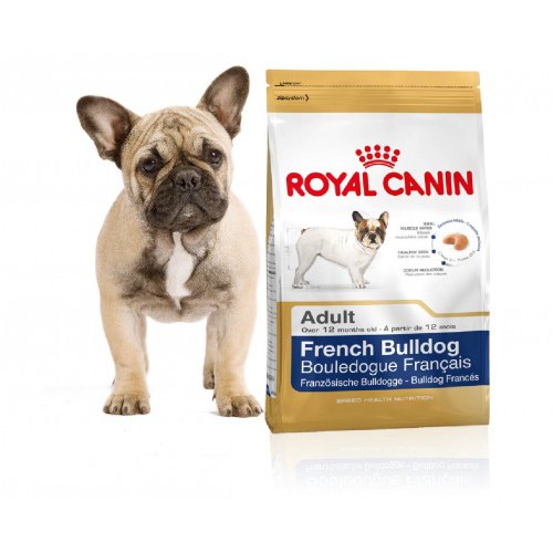 royal canin french bulldog junior 10kg