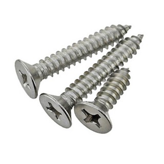 Self Tapping Screw (1Piece /10Pieces) LONG - Flat Head #10 4.8mm (Skru ...