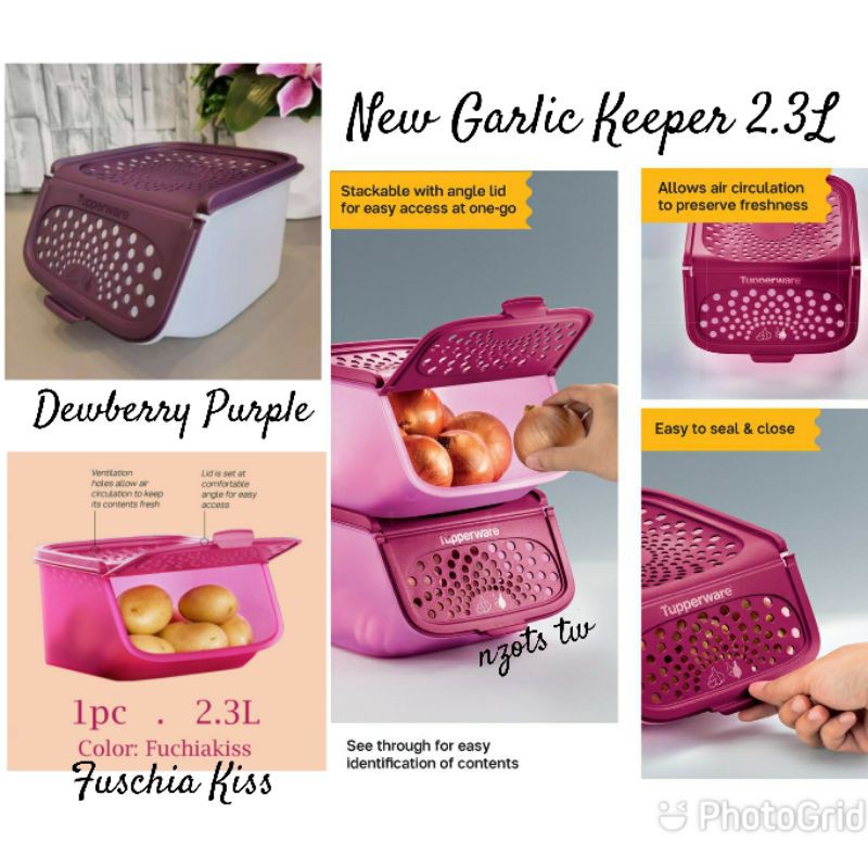 Luv Tupperware New Garlic N All Keeper 2.3L (1pc)