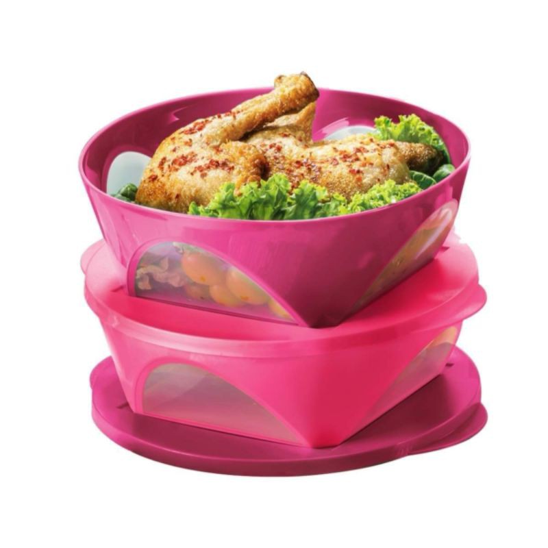 Tupperware Outdoor Dining Bowl 2.5L