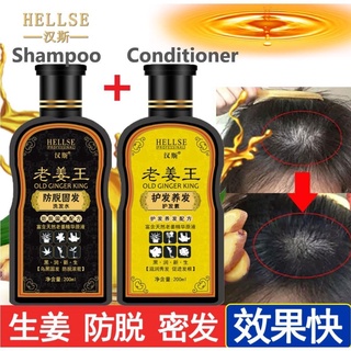 HELLSE Ginger Root Booster Hair Shampoo Anti Hair Lost Oil Control Enhance Hair Growth 200ml