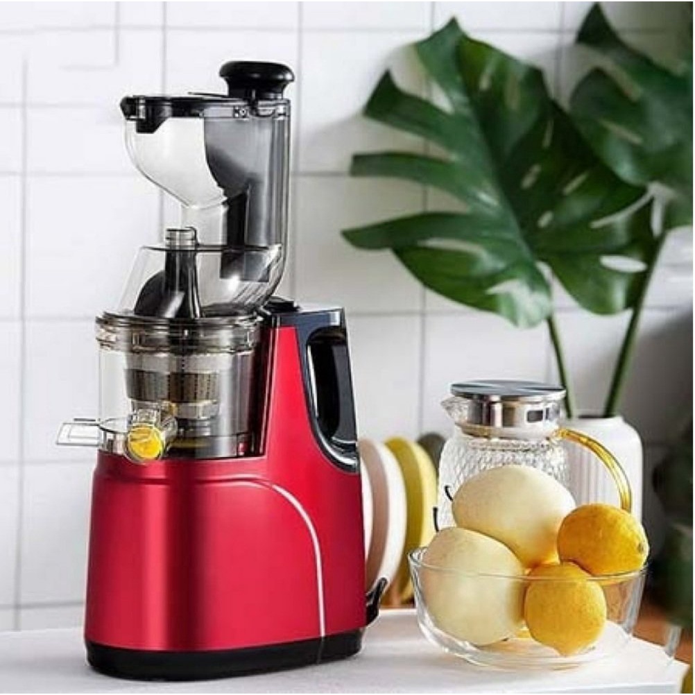 Hongxin RH-312 Fruit Slow Press, Fruit And Vegetable Juicer, Fruit Slow Juicer - Genuine