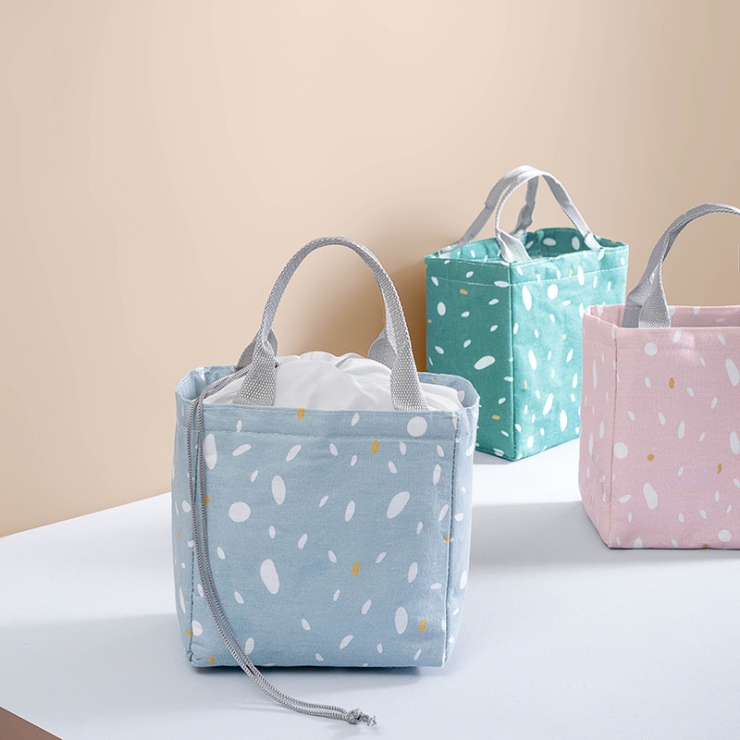 polka dot lunch box