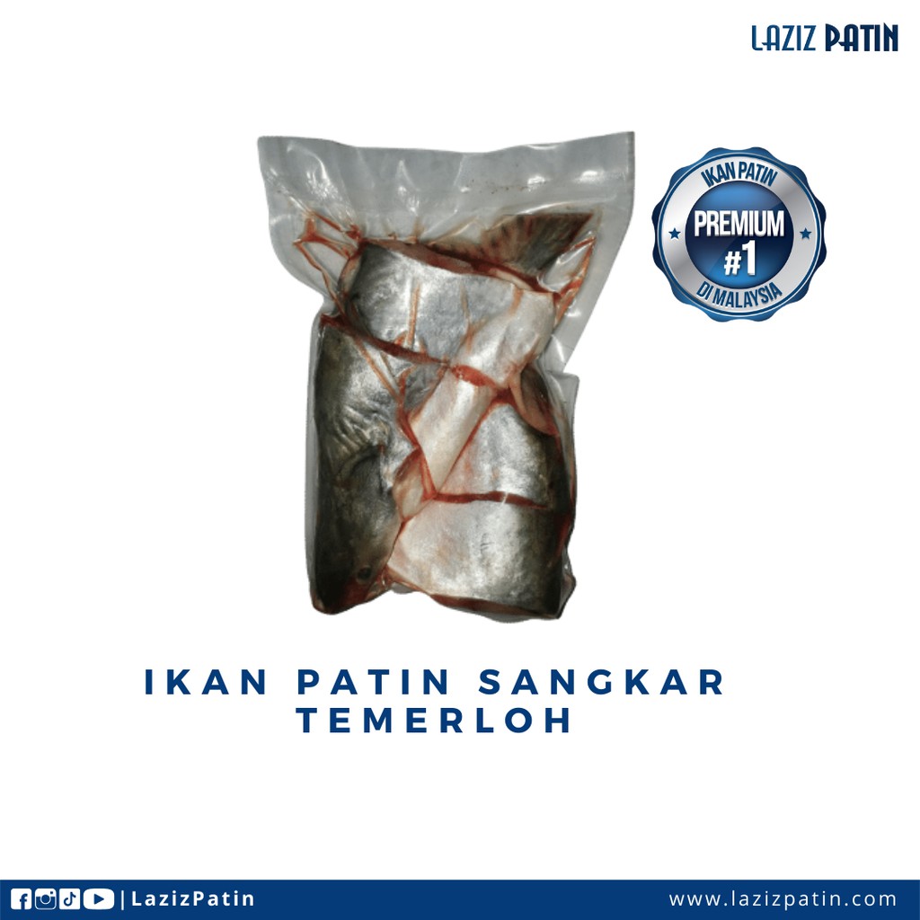 Ready Stock Ikan Patin Sangkar Original Temerloh Pahang Frozen Shopee Malaysia 7923