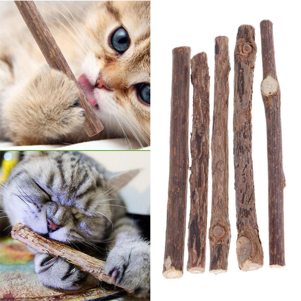 5PCS Care Catnip Treat Silvervine Matatabi Teeth Molar Cleaning Cat ...