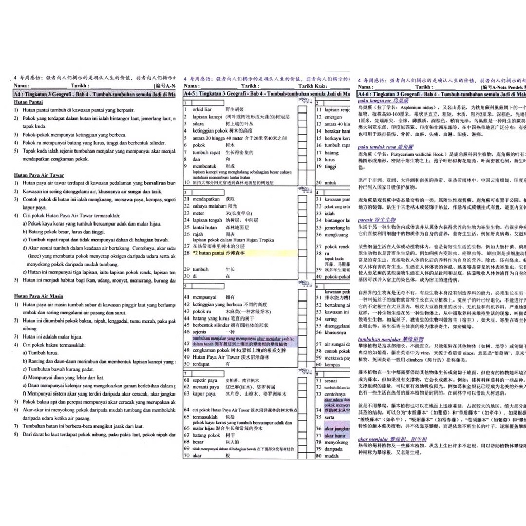 Soft Copy Pdf File Pt3 Geografi Pt3地理精简速读笔记 双语词汇翻译表 国文翻译华文 双语翻译速读教材 Shopee Malaysia