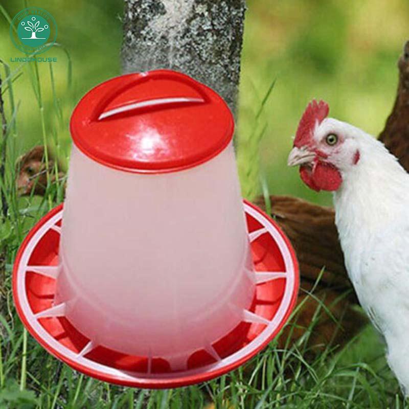 Auto Plastic Chicken Quail Poultry Hen Drinker Food Feeder Waterer