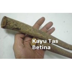 Kayu Tas Halau Haiwan Berbisa Shopee Malaysia