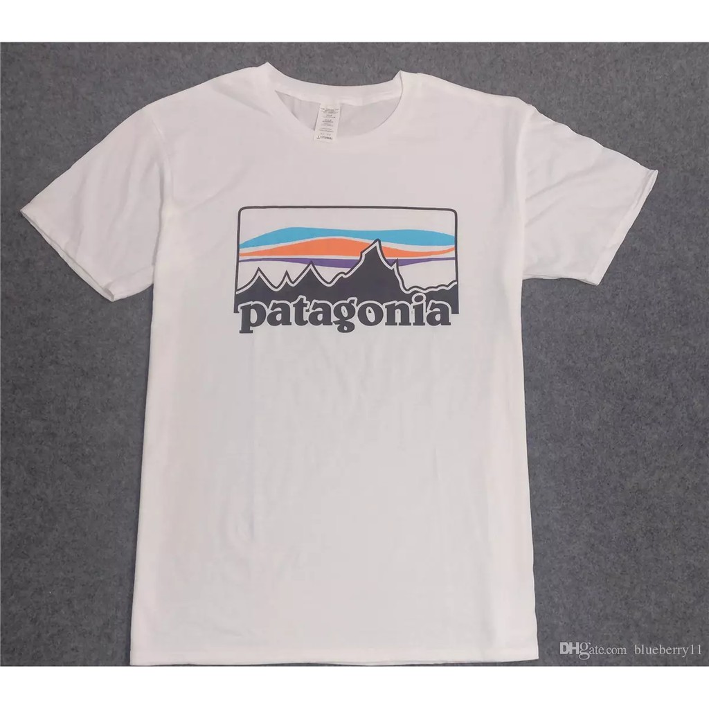 patagonia men tshirt