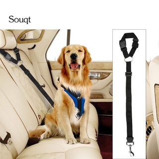dog car leash