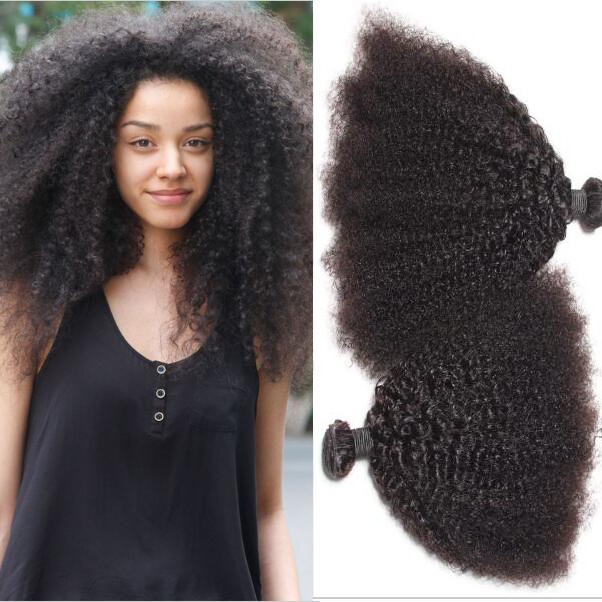 Brazilian Peruvian Indian Malaysian Afro Kinky Curly Natural Black