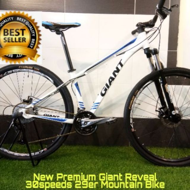 giant revel 1 29er