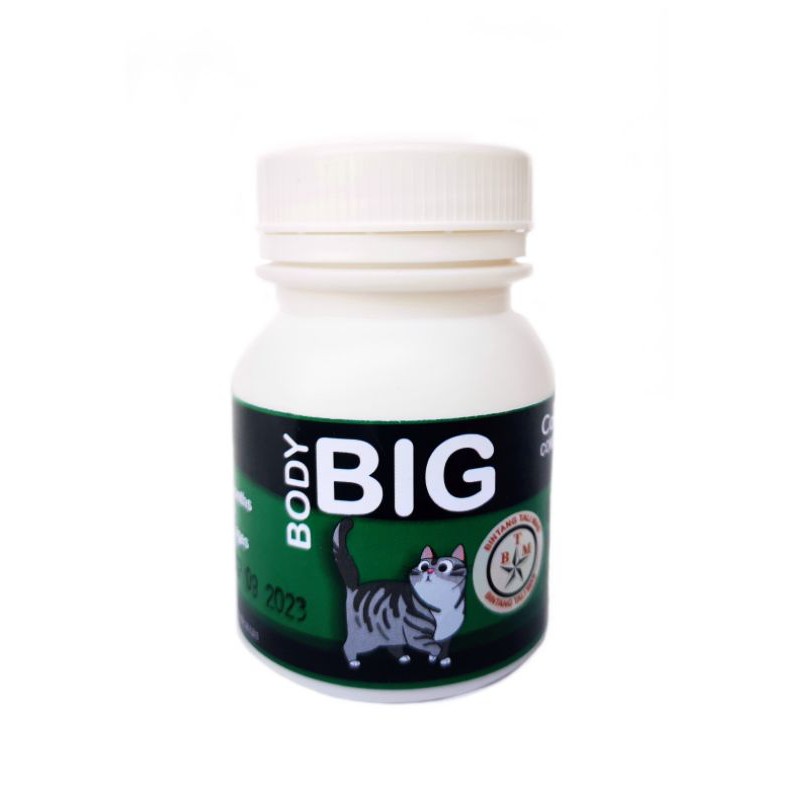 Buy Big CAT BODY / CAT Fatter / VITAMIN CAT / CAT FATER POWDER 