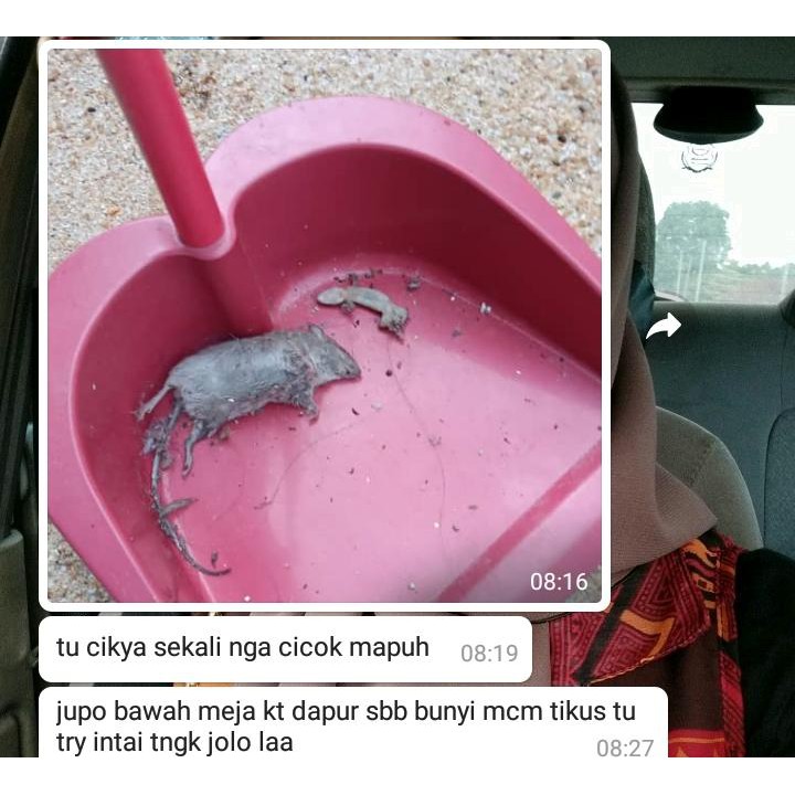 Racun Tikus Morat 100 Berkesan Shopee Malaysia