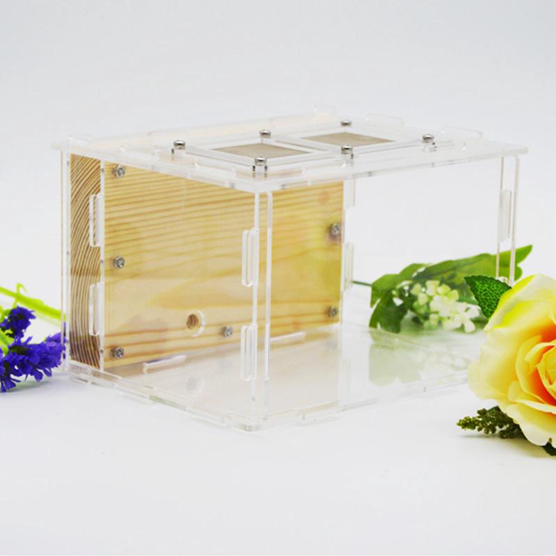 2019 New DIY Wooden Ant Farm Ecological Acrylic Ant Nest15x14x10cm with